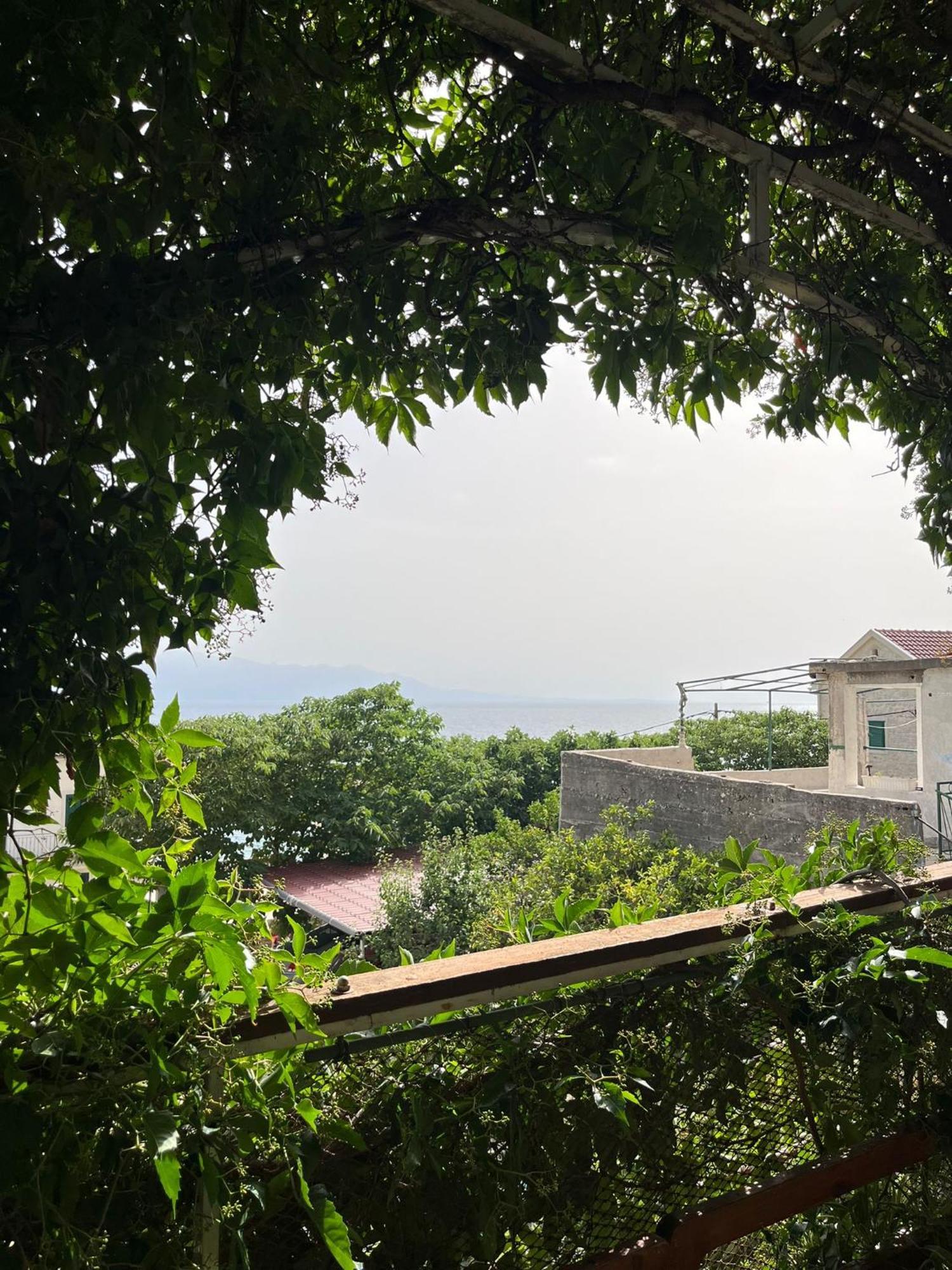 Apartmani Ankora Brist Quarto foto